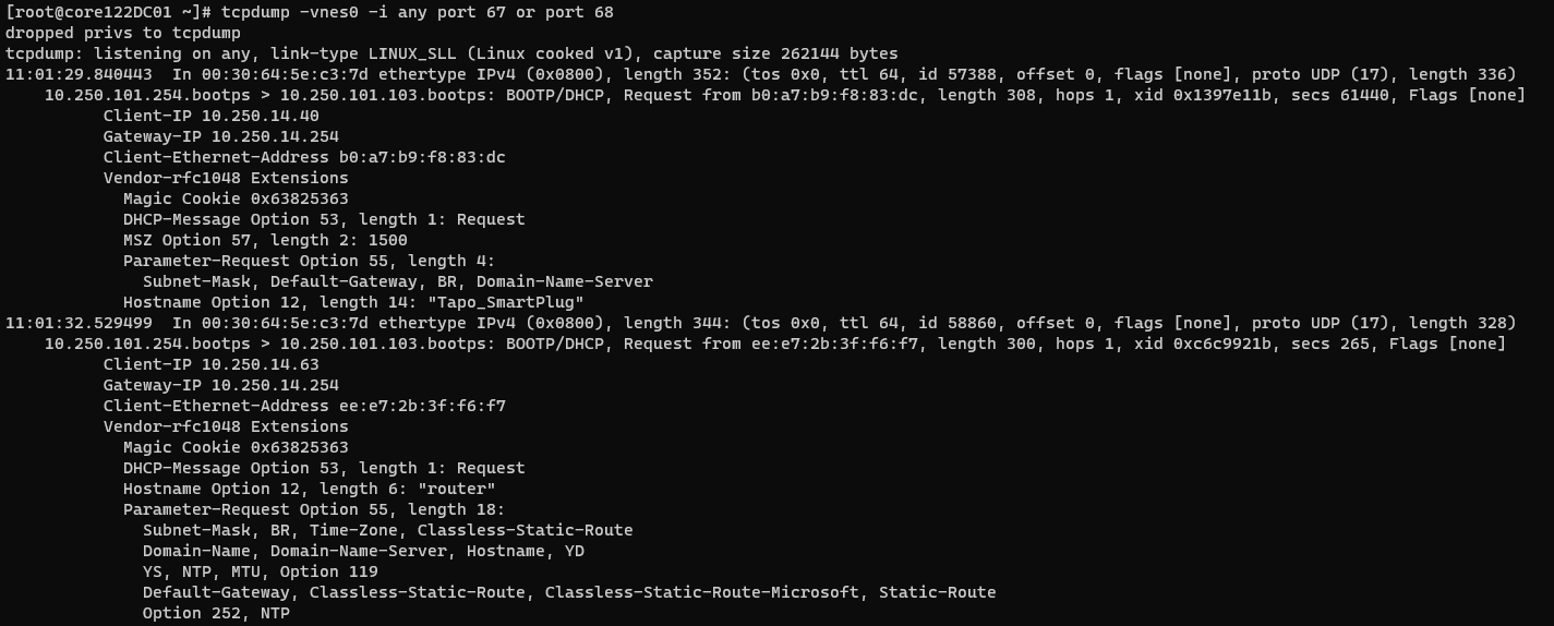 ../../_images/troub_dhcp_tcpdump.png